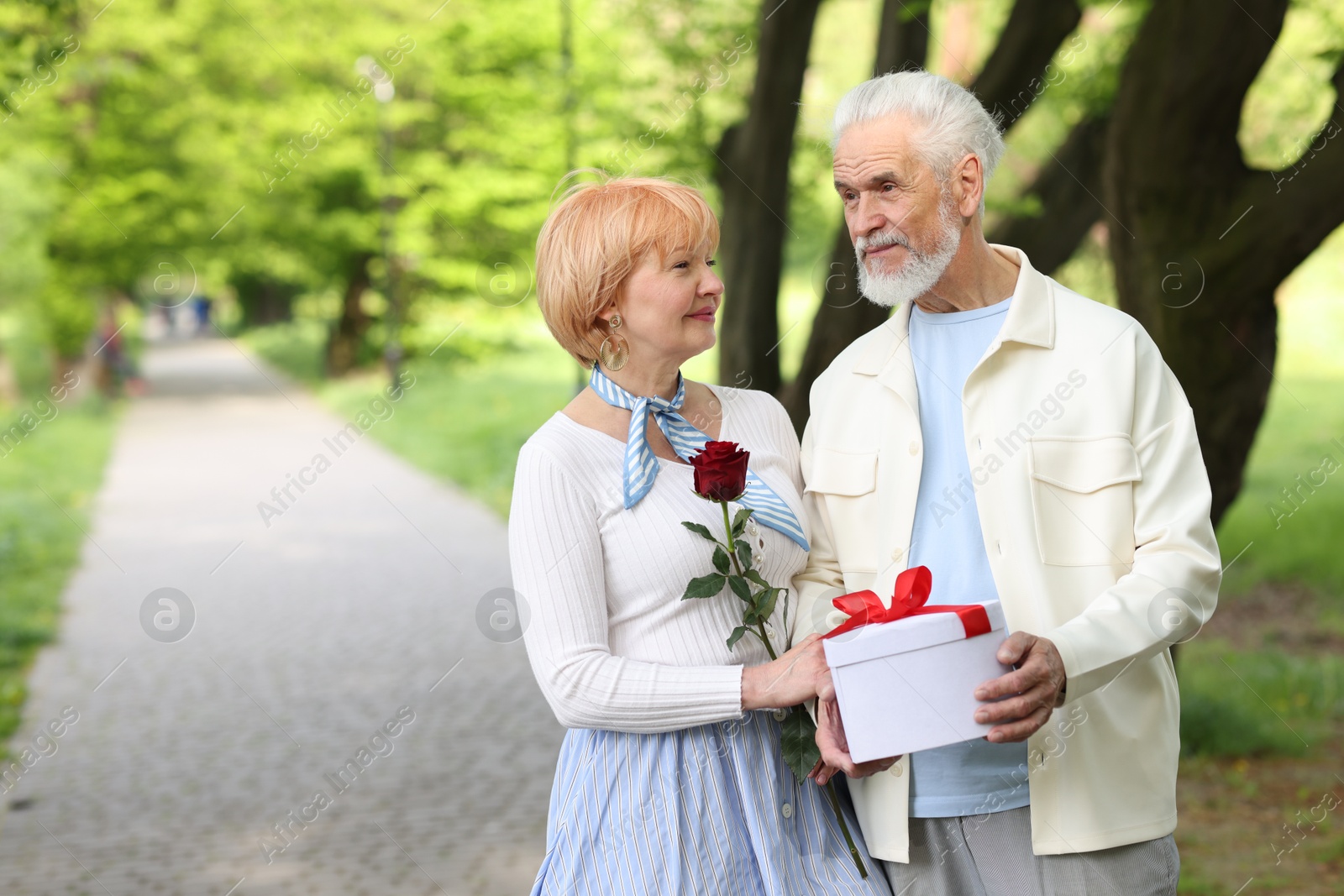 Lovely senior couple with gift box and rose in park, space for text Photo of Lovely senior couple with gift box and rose in park, space for text