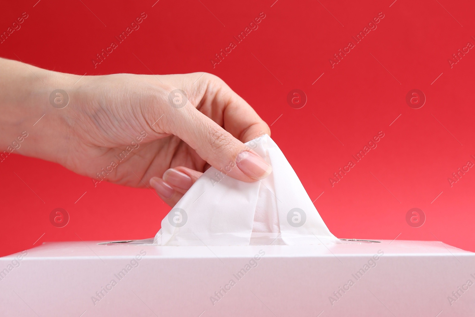 Woman taking handkerchief out of box on red background, closeup Photo of Woman taking handkerchief out of box on red background, closeup