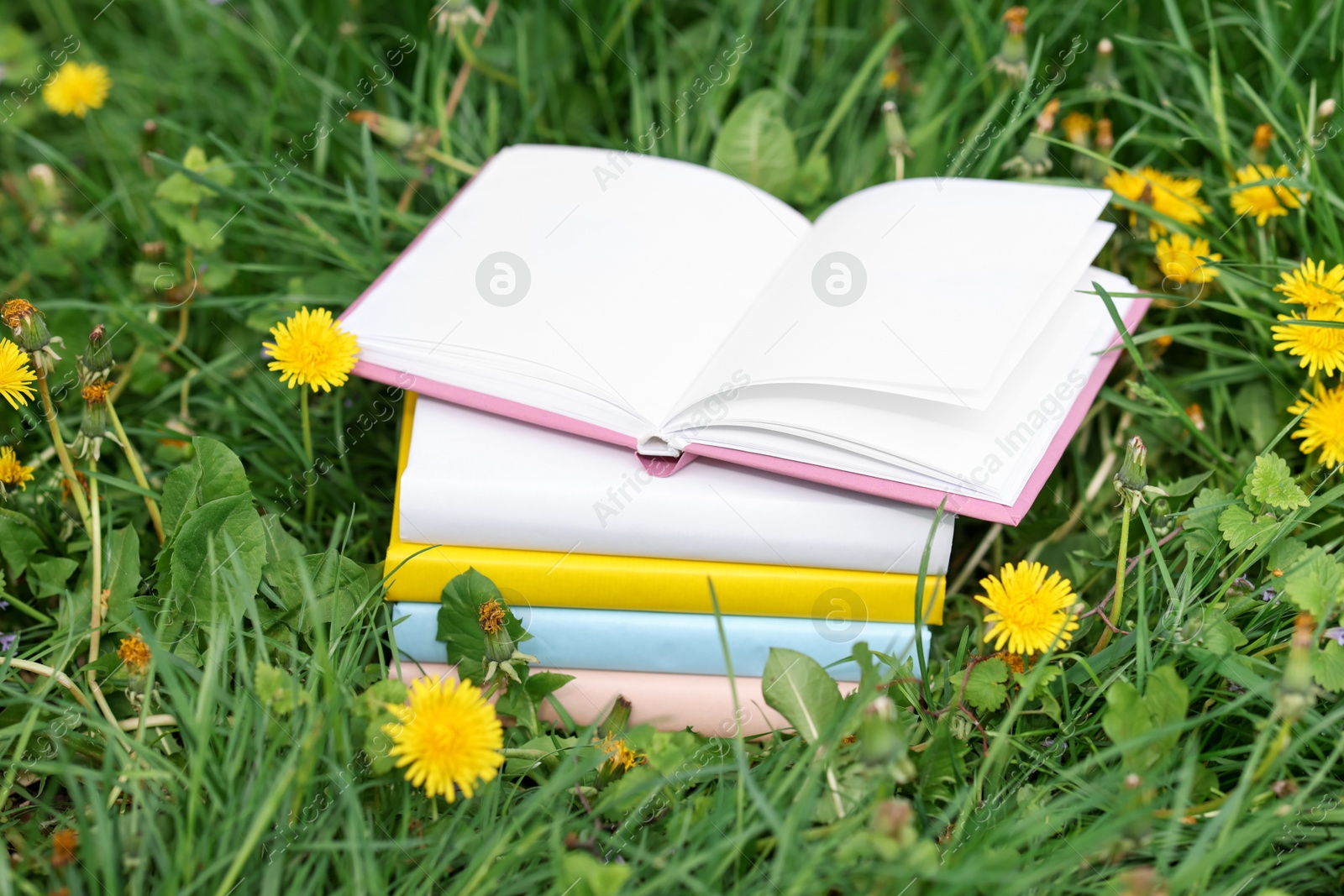Stacked books on green grass outdoors, closeup Photo of Stacked books on green grass outdoors, closeup