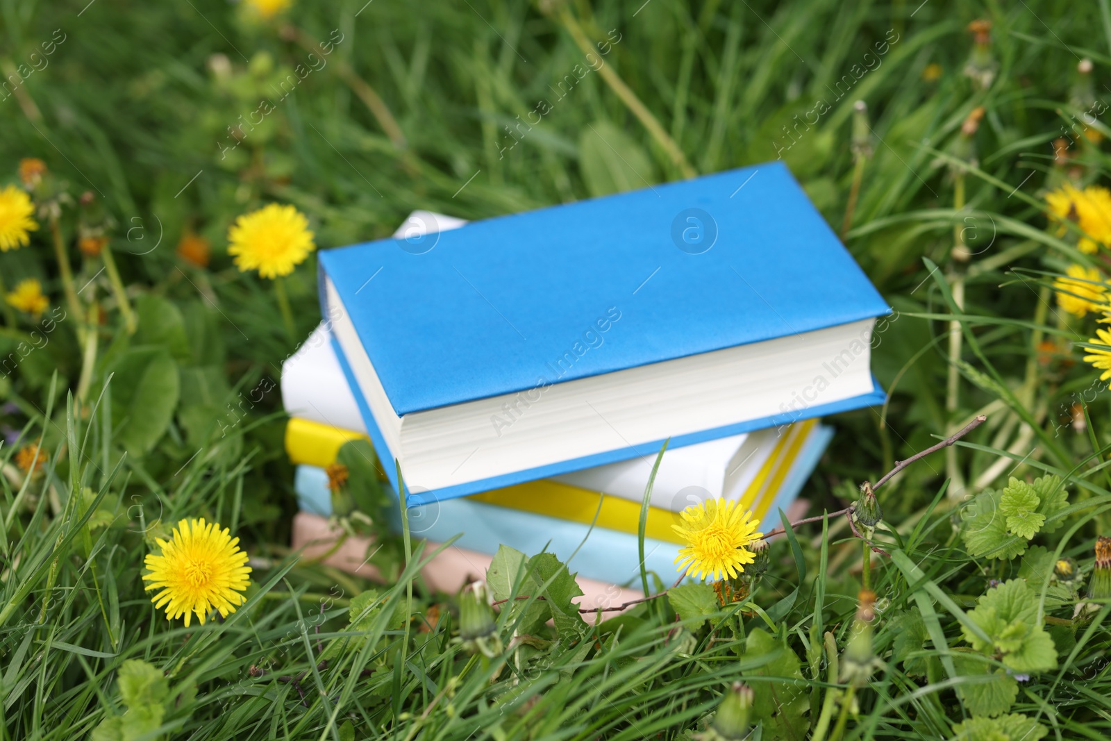 Stacked books on green grass outdoors, closeup Photo of Stacked books on green grass outdoors, closeup