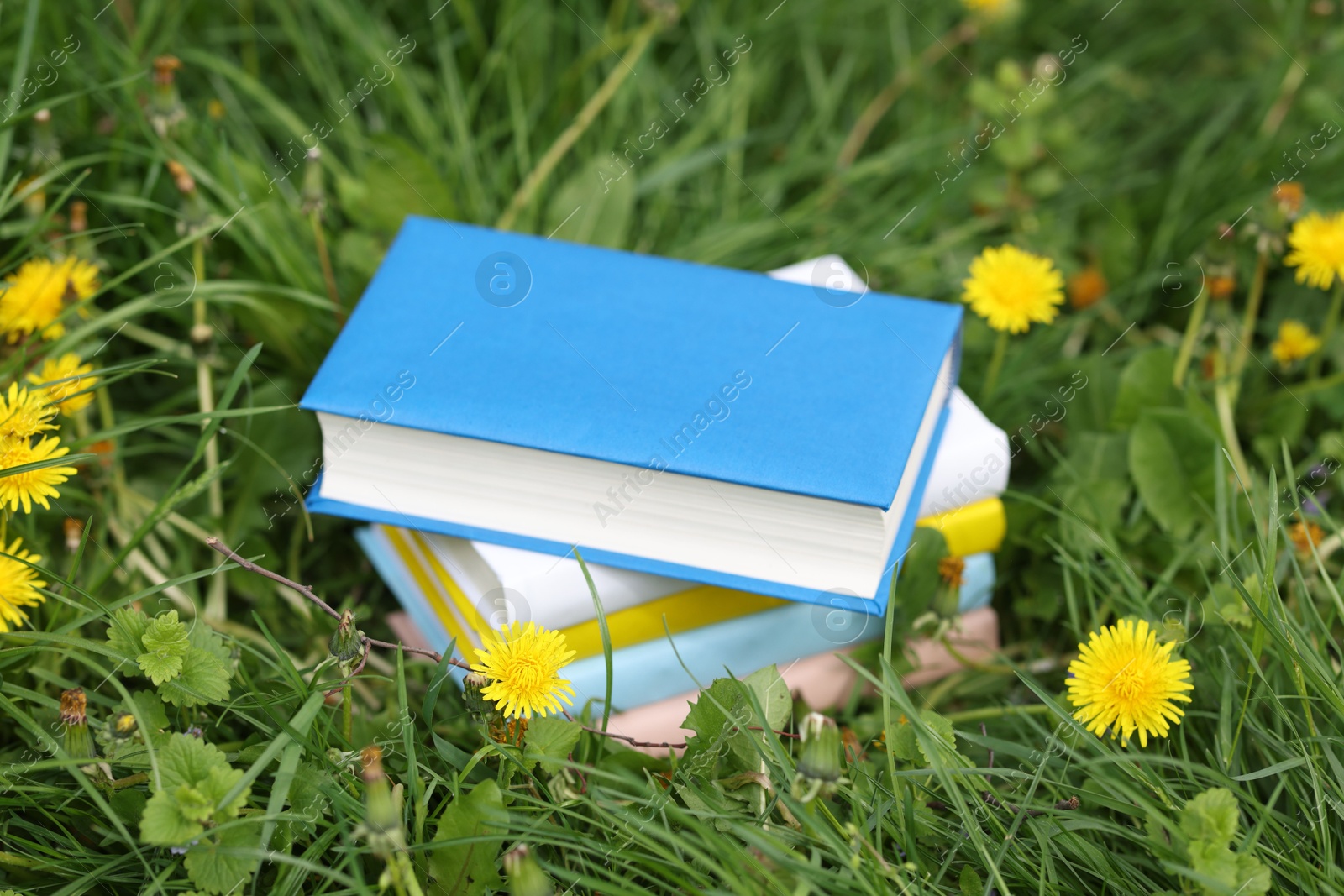 Stacked books on green grass outdoors, closeup Photo of Stacked books on green grass outdoors, closeup