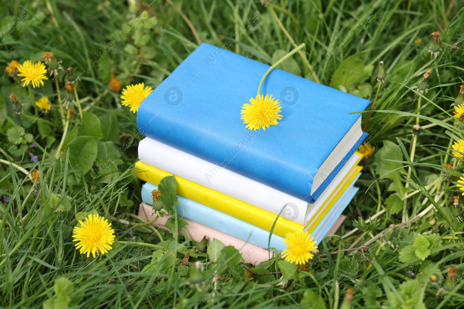 Stacked books on green grass outdoors, closeup Photo of Stacked books on green grass outdoors, closeup