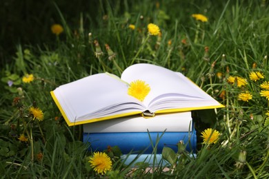 Photo of Stacked books with dandelion flowers on green grass outdoors, closeup