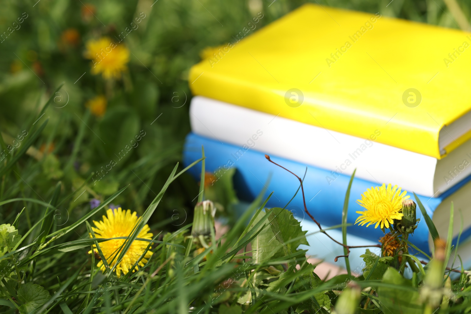 Stacked books on green grass outdoors, closeup. Space for text Photo of Stacked books on green grass outdoors, closeup. Space for text
