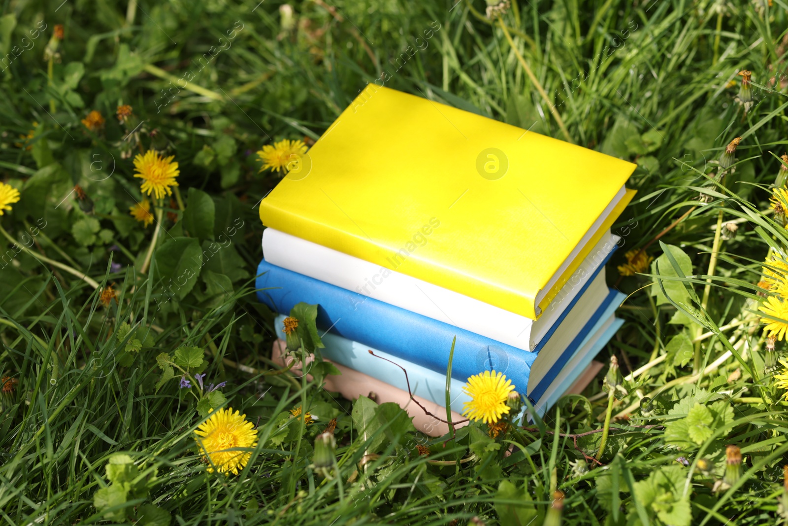 Different stacked books on green grass outdoors Photo of Different stacked books on green grass outdoors