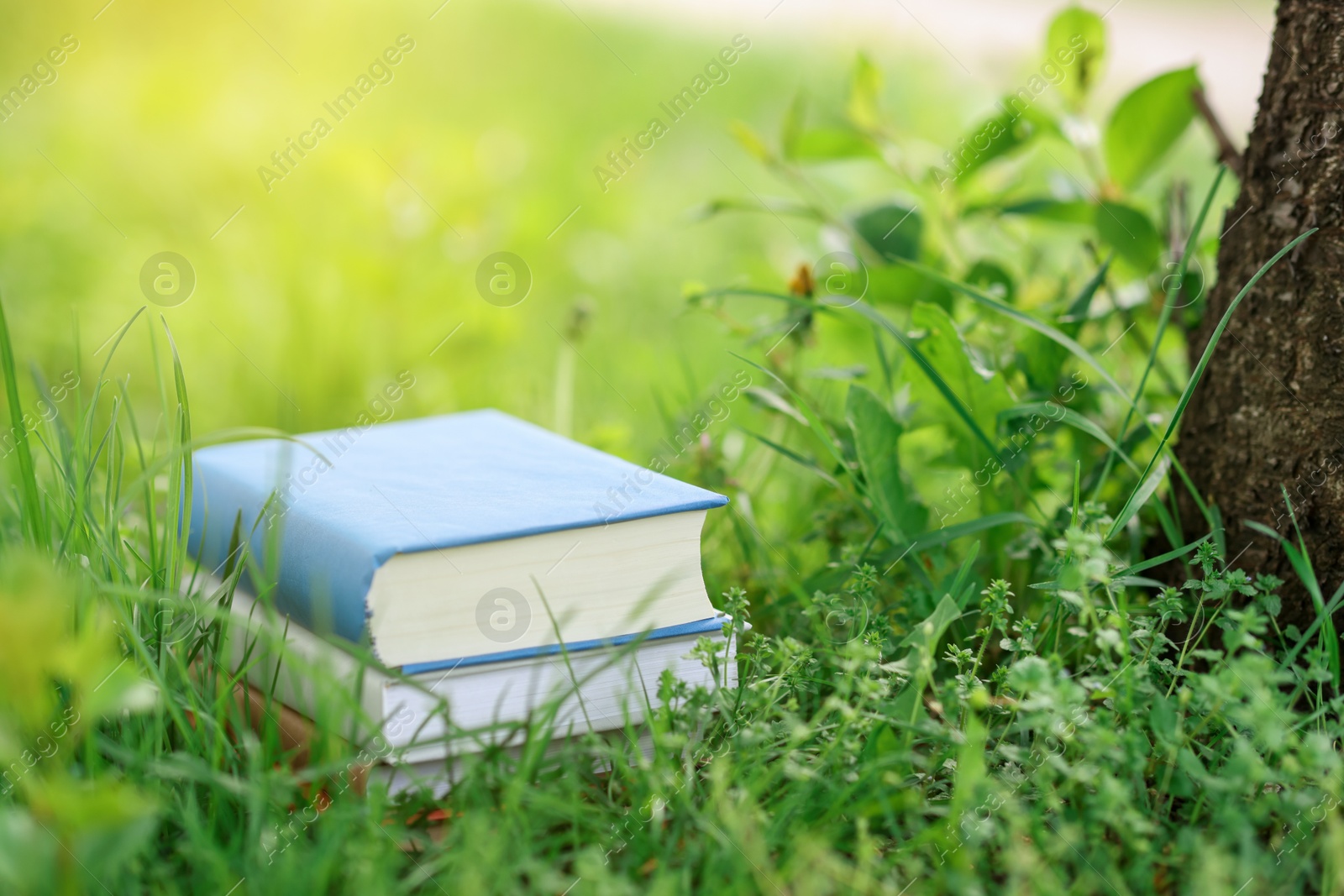 Stacked books on green grass outdoors,. Space for text Photo of Stacked books on green grass outdoors,. Space for text
