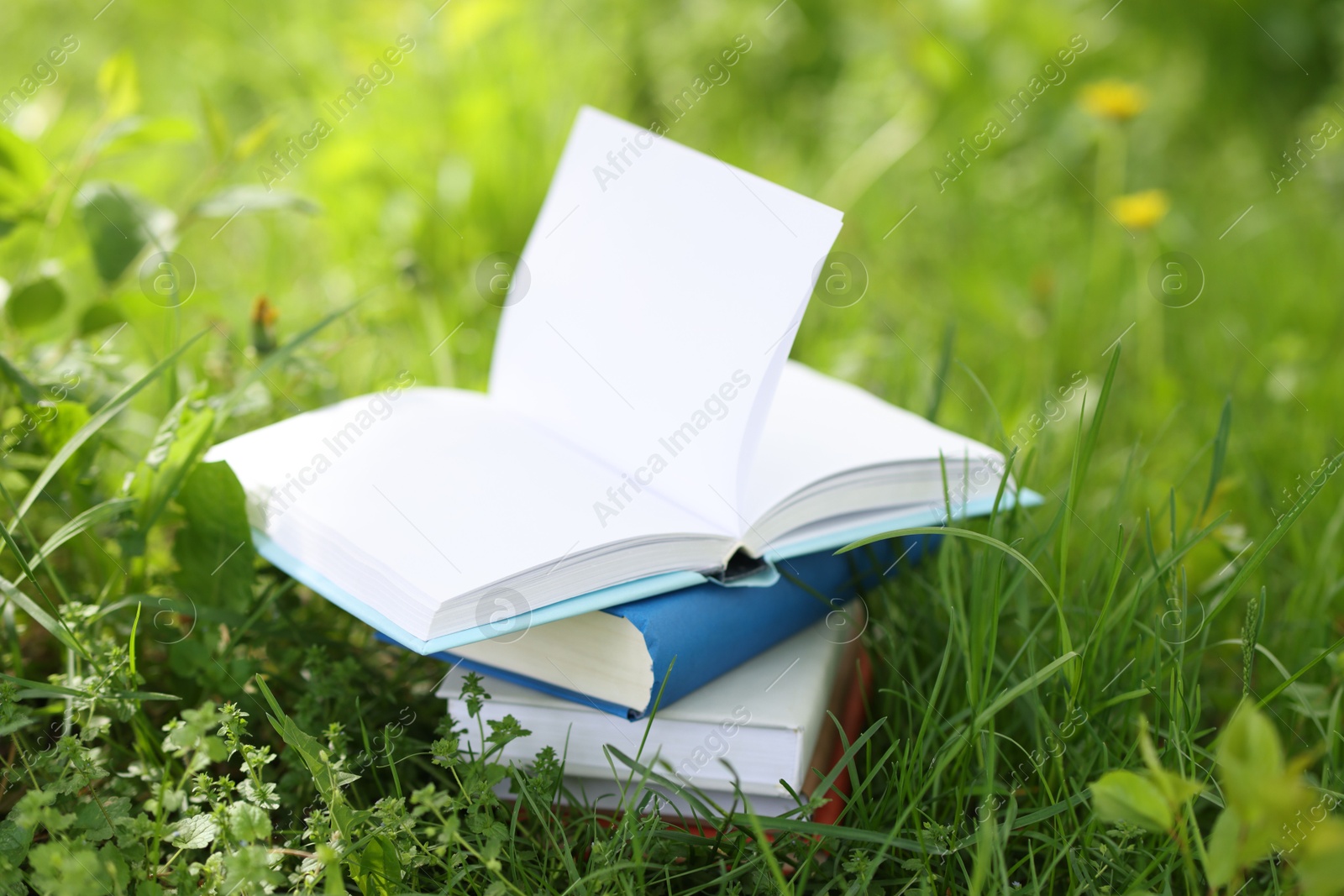 Different stacked books on green grass outdoors Photo of Different stacked books on green grass outdoors