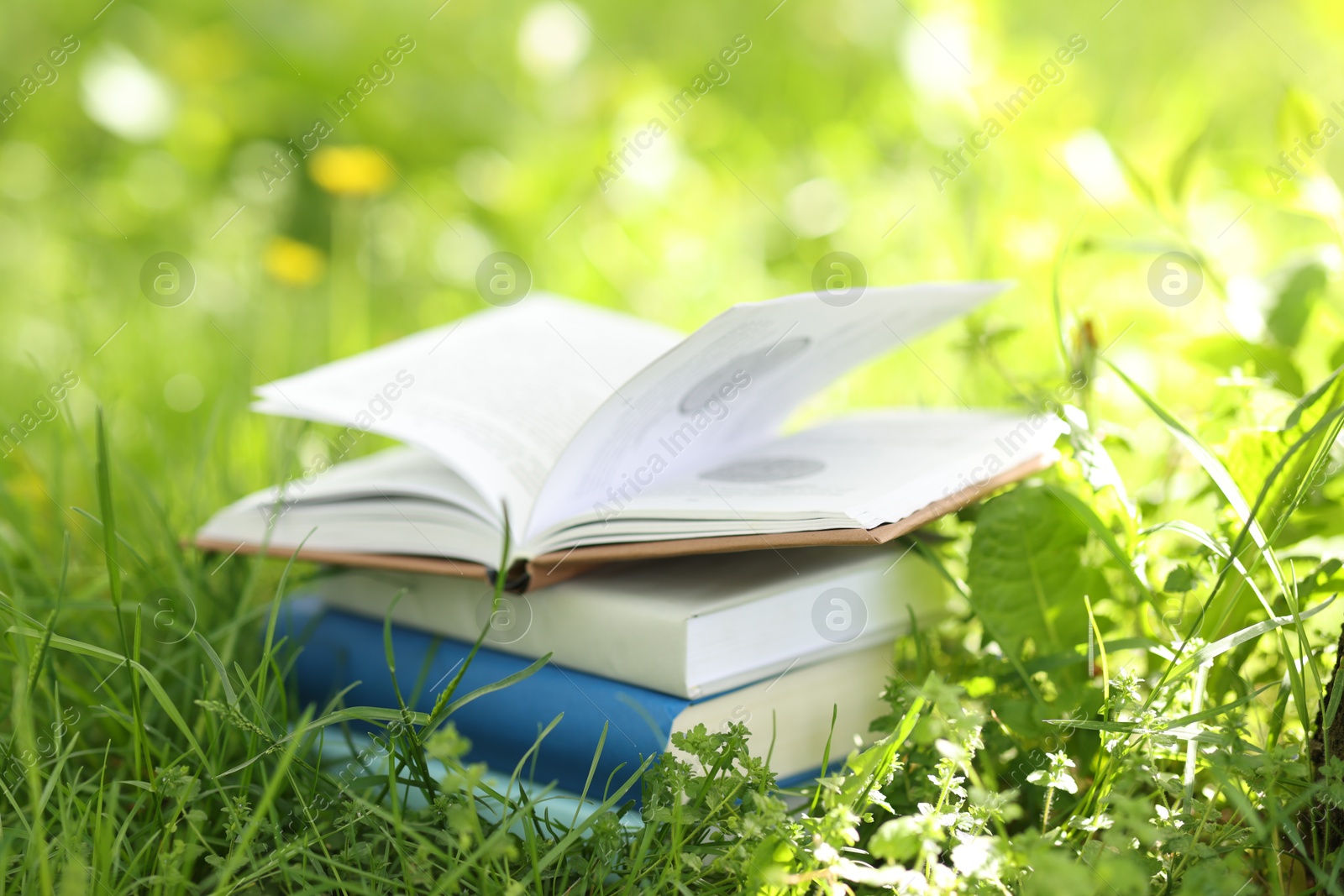 Different stacked books on green grass outdoors Photo of Different stacked books on green grass outdoors