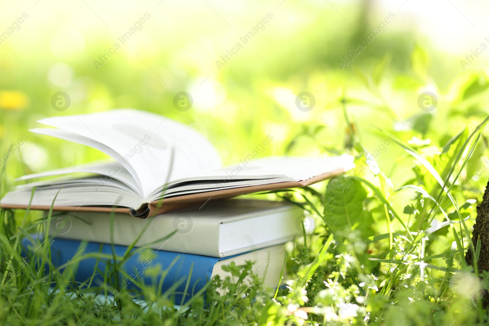 Different stacked books on green grass outdoors Photo of Different stacked books on green grass outdoors