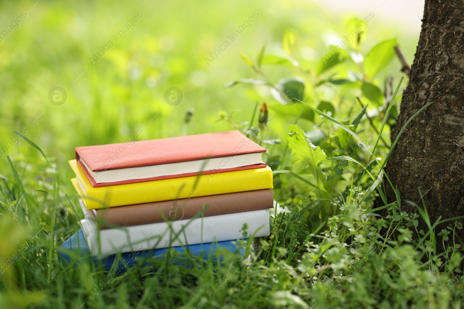 Different stacked books on green grass outdoors Photo of Different stacked books on green grass outdoors