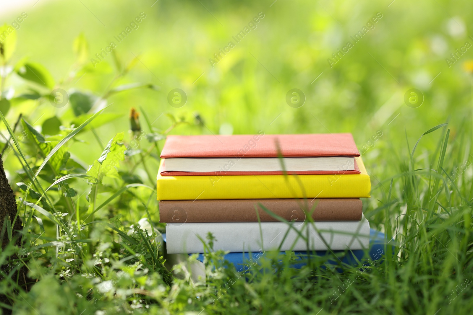 Different stacked books on green grass outdoors Photo of Different stacked books on green grass outdoors
