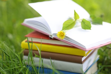 Photo of Stacked books on green grass outdoors, closeup