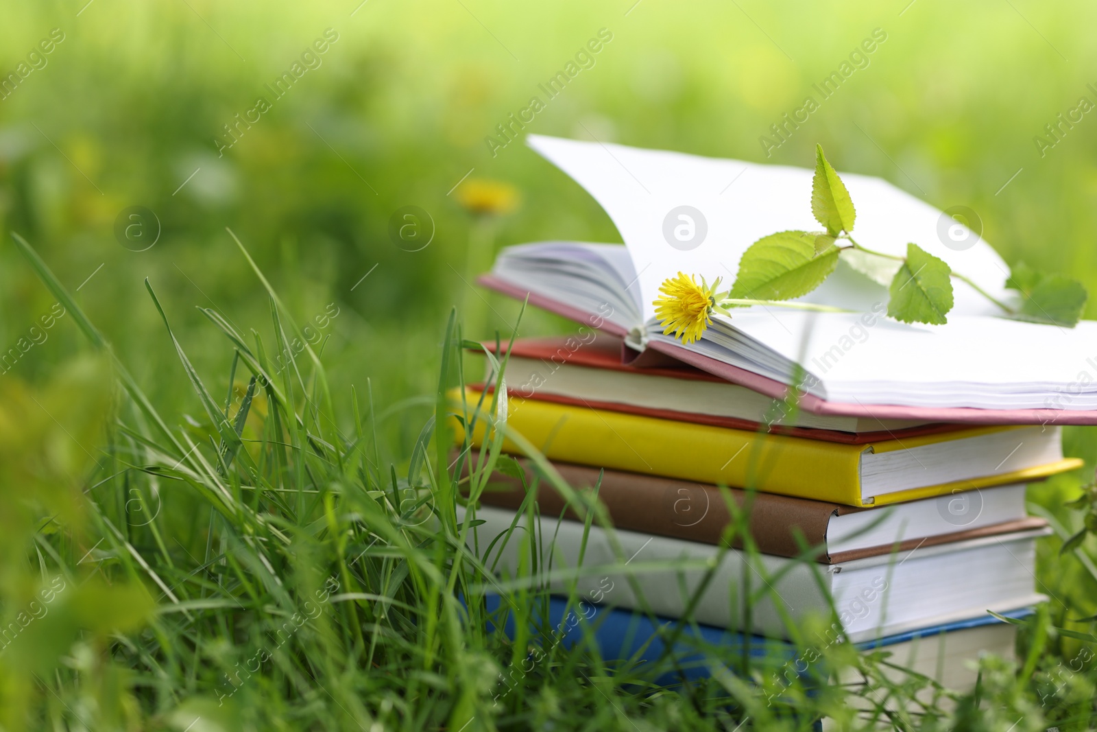 Stacked books on green grass outdoors, closeup. Space for text Photo of Stacked books on green grass outdoors, closeup. Space for text