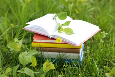 Photo of Stacked books on green grass outdoors, closeup