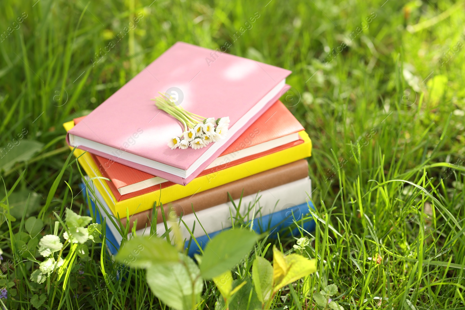Stacked books with chamomile flowers on green grass outdoors Photo of Stacked books with chamomile flowers on green grass outdoors