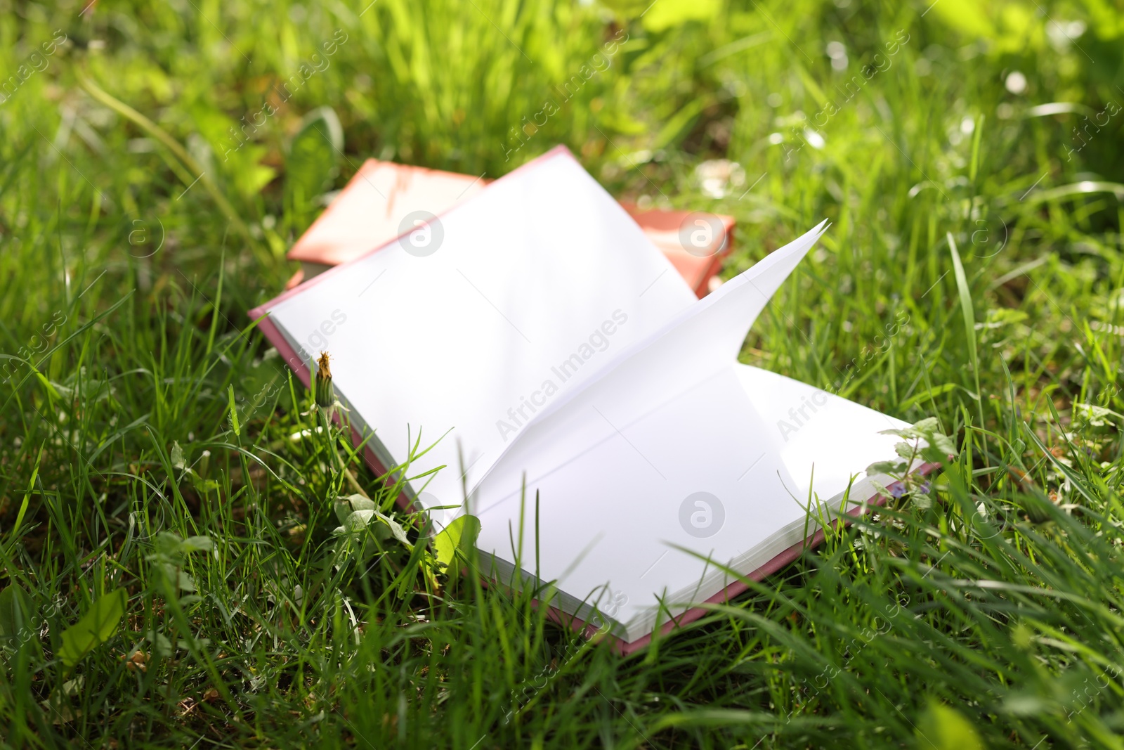 Books on green grass outdoors, closeup view Photo of Books on green grass outdoors, closeup view