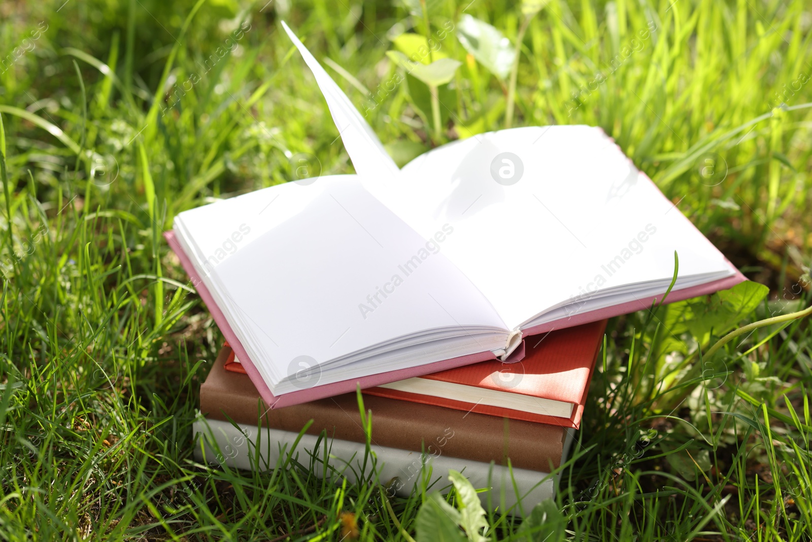 Different stacked books on green grass outdoors Photo of Different stacked books on green grass outdoors
