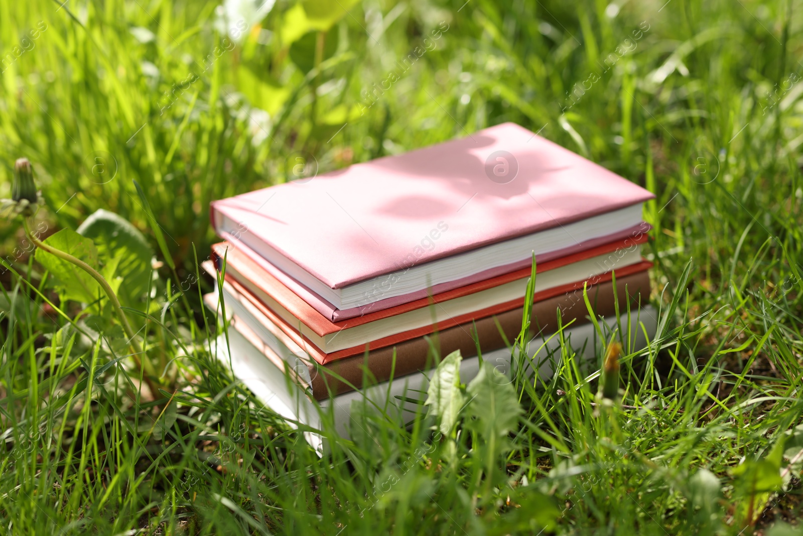Different stacked books on green grass outdoors Photo of Different stacked books on green grass outdoors