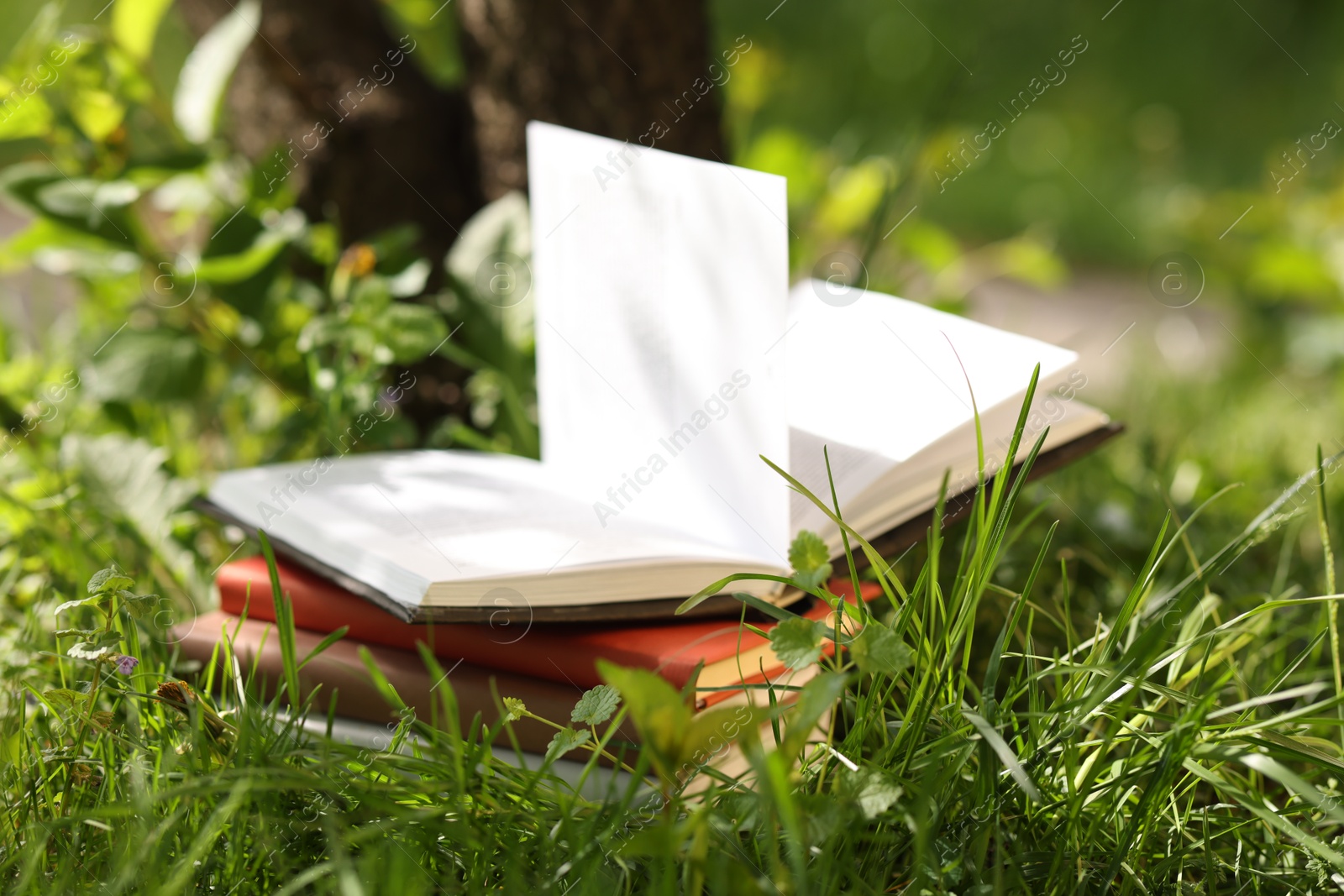 Stacked books on green grass outdoors, closeup Photo of Stacked books on green grass outdoors, closeup