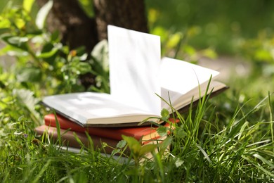 Photo of Stacked books on green grass outdoors, closeup