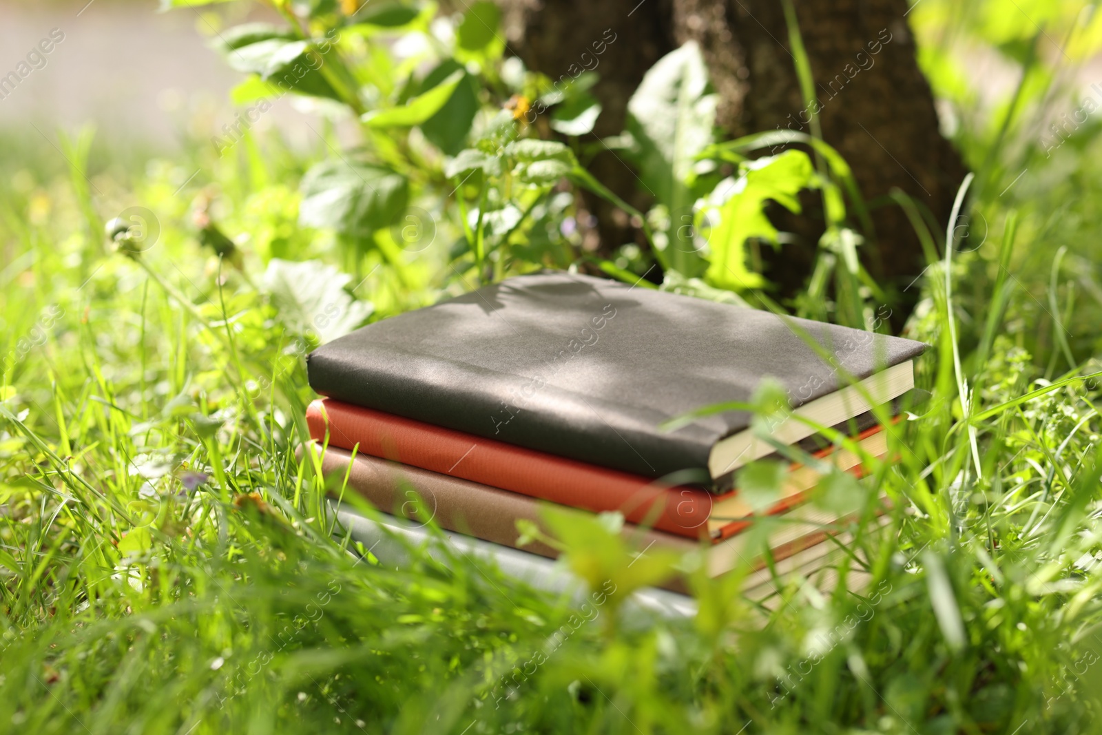 Stacked books on green grass outdoors, closeup Photo of Stacked books on green grass outdoors, closeup