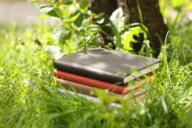 Photo of Stacked books on green grass outdoors, closeup
