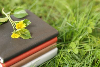 Photo of Stacked books with dandelion flowers on green grass outdoors, closeup. Space for text