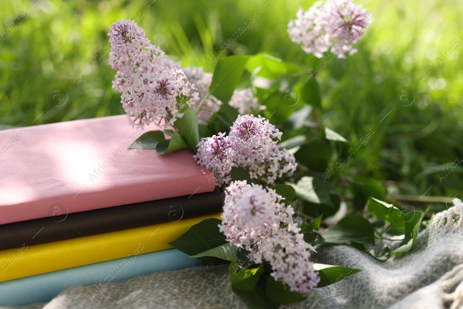 Stacked books, lilac flowers and blanket on green grass outdoors, closeup Photo of Stacked books, lilac flowers and blanket on green grass outdoors, closeup