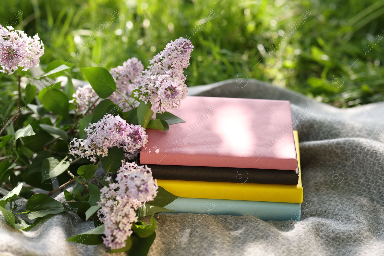 Stacked books, lilac flowers and blanket on green grass outdoors Photo of Stacked books, lilac flowers and blanket on green grass outdoors