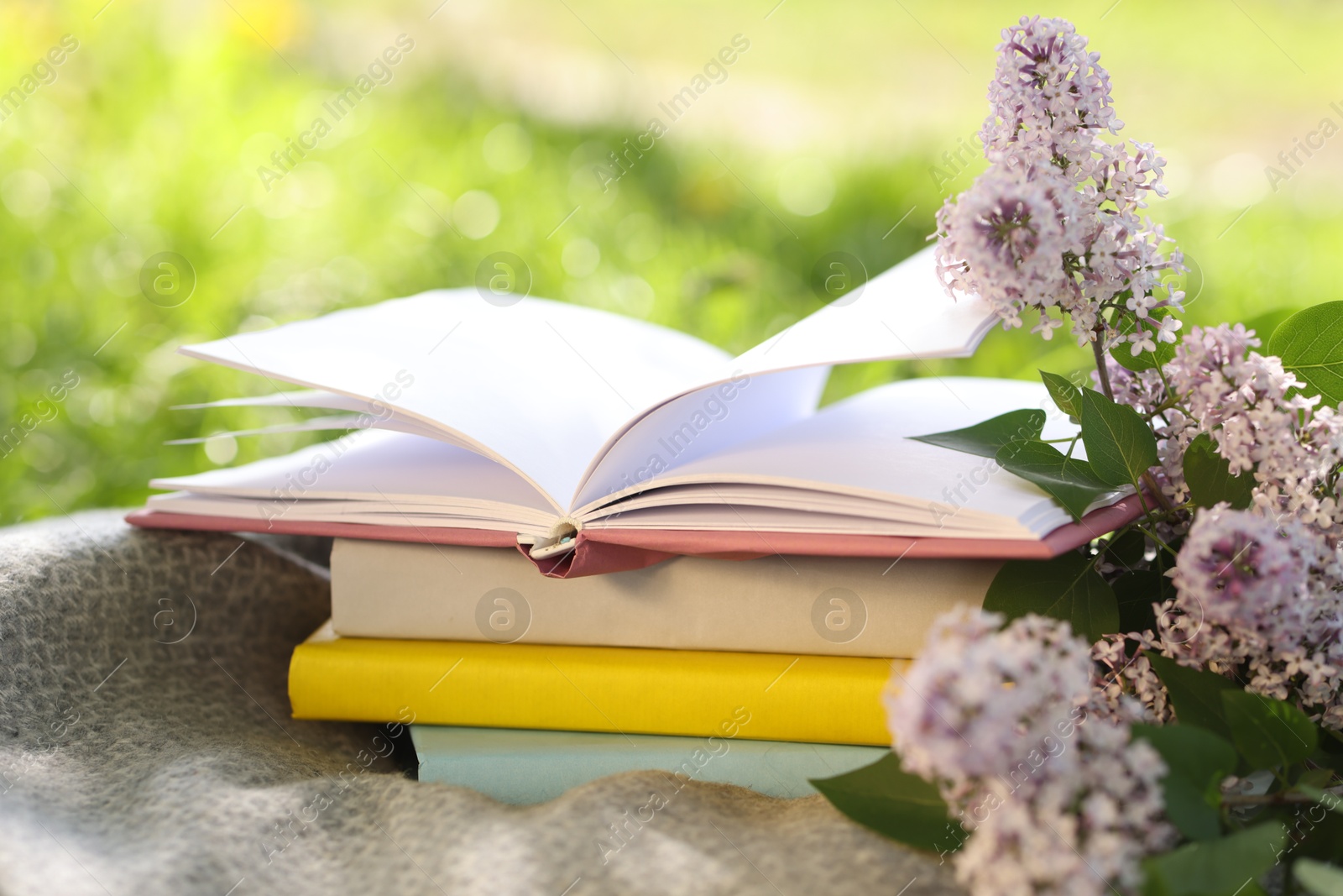 Stacked books, lilac flowers and blanket on green grass outdoors, closeup Photo of Stacked books, lilac flowers and blanket on green grass outdoors, closeup