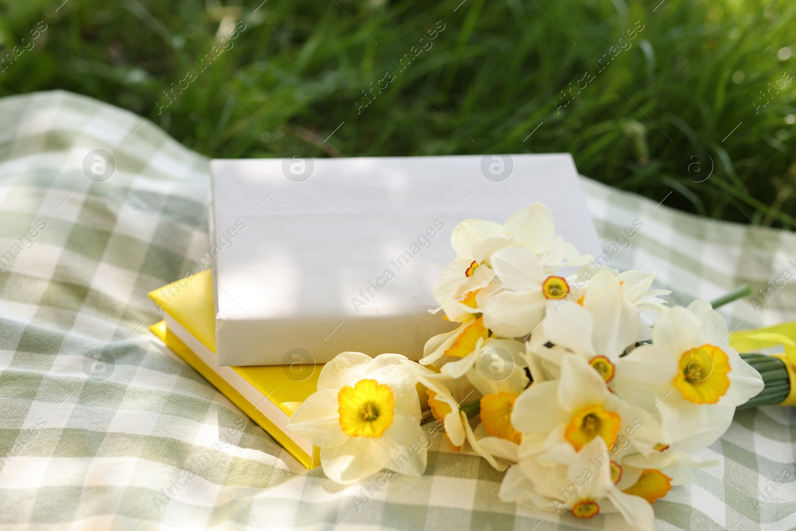 Stacked books, daffodil flowers and blanket on green grass outdoors, closeup Photo of Stacked books, daffodil flowers and blanket on green grass outdoors, closeup