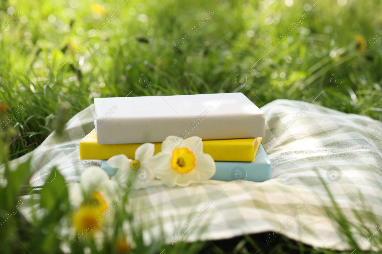 Stacked books, daffodil flowers and blanket on green grass outdoors, closeup Photo of Stacked books, daffodil flowers and blanket on green grass outdoors, closeup