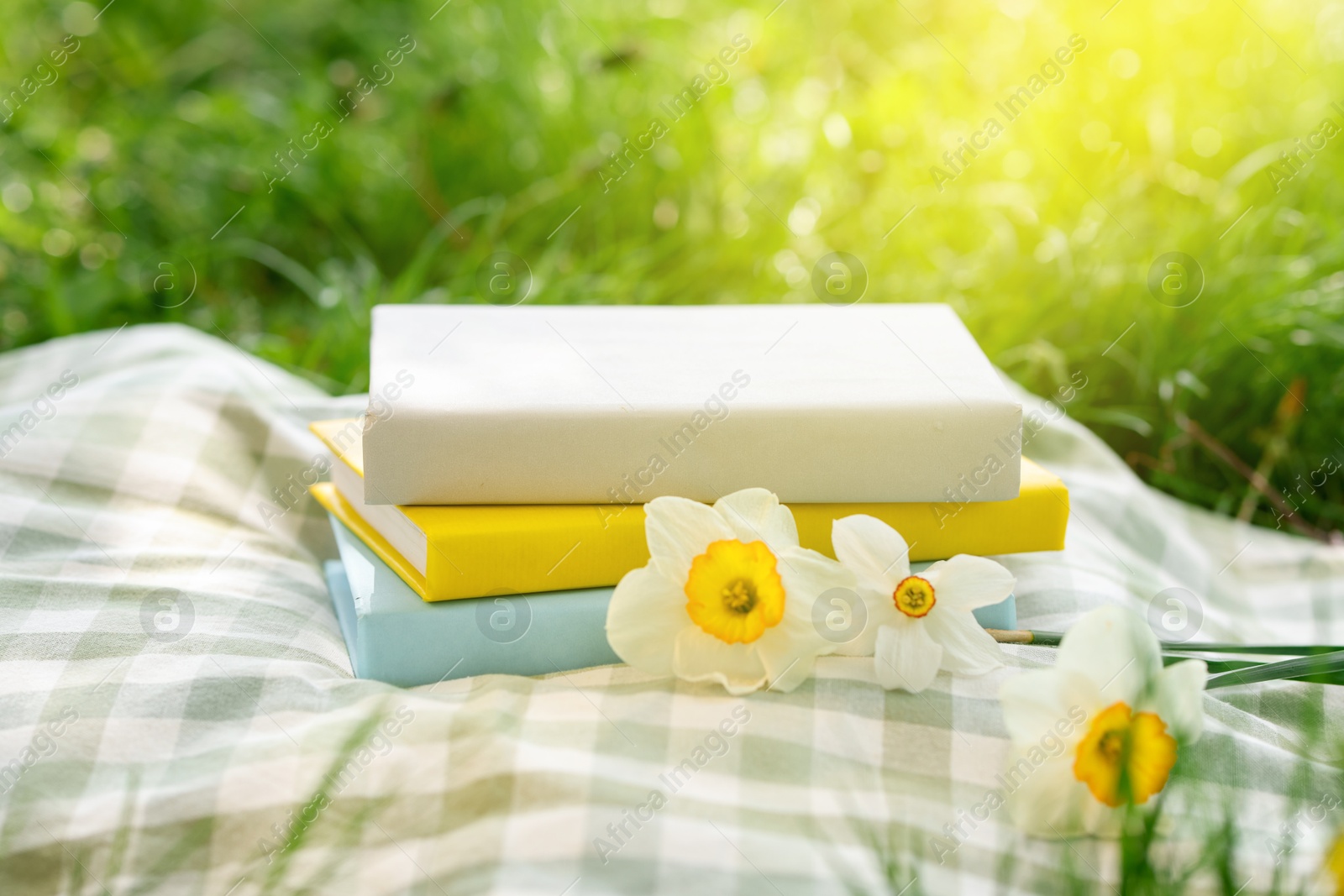 Stacked books, daffodil flowers and blanket on green grass outdoors, closeup Photo of Stacked books, daffodil flowers and blanket on green grass outdoors, closeup