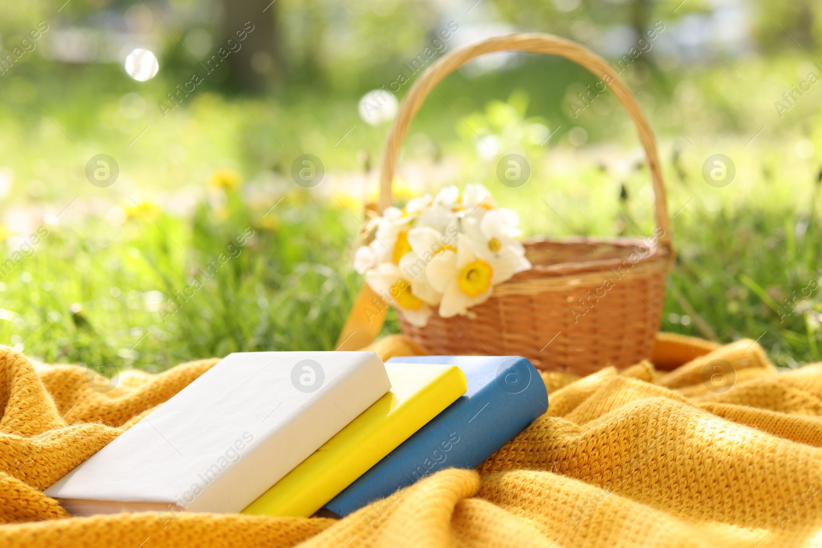 Stacked books, blanket and wicker basket with daffodil flowers on green grass outdoors, closeup Photo of Stacked books, blanket and wicker basket with daffodil flowers on green grass outdoors, closeup