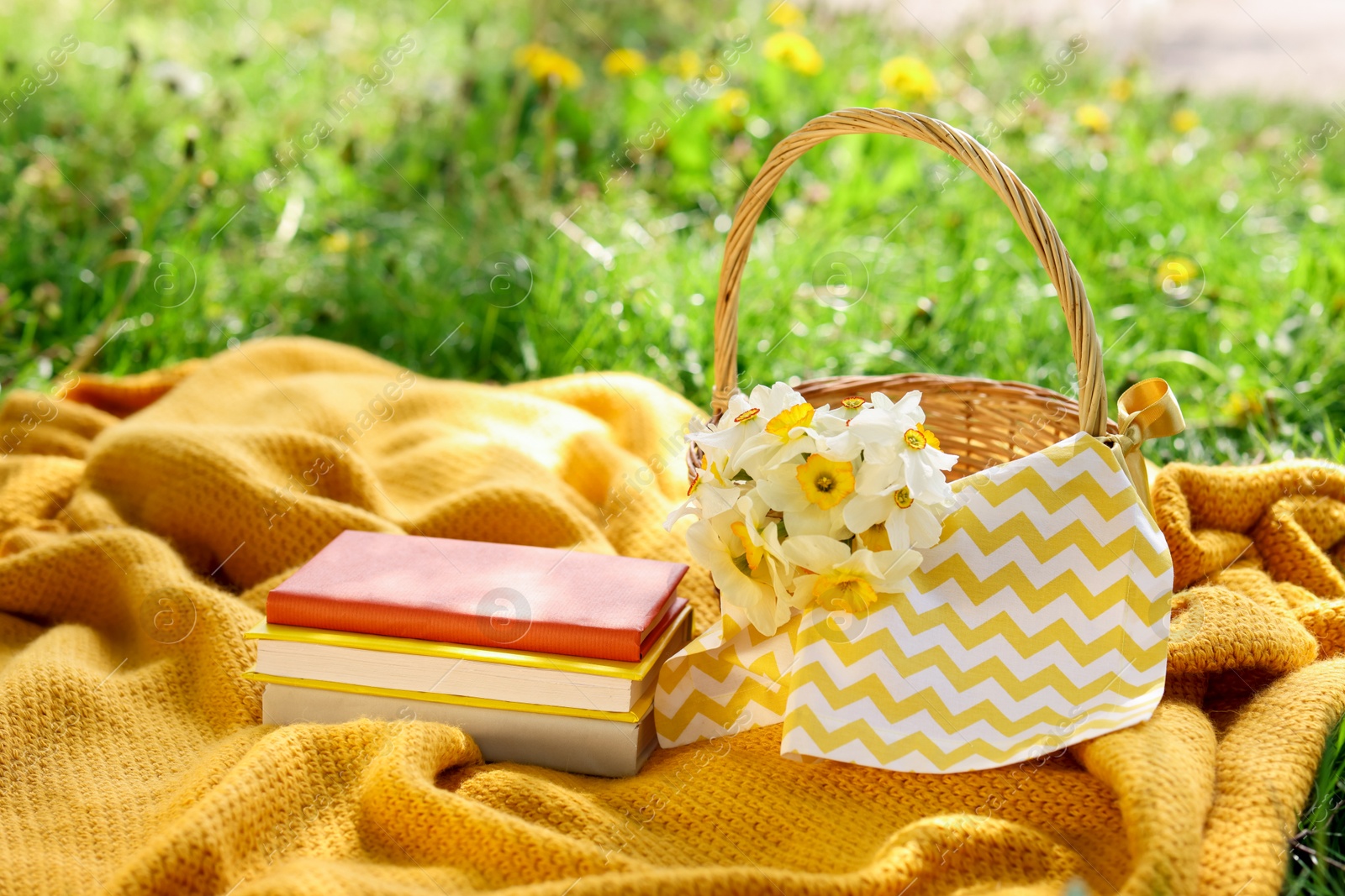 Stacked books, blanket and wicker basket with daffodil flowers on green grass outdoors Photo of Stacked books, blanket and wicker basket with daffodil flowers on green grass outdoors