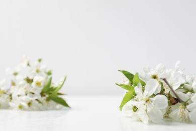 Photo of Twigs with beautiful flowers on white table, closeup. Space for design