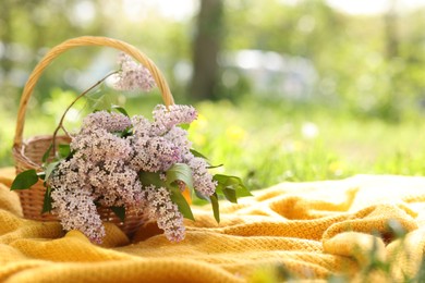 Photo of Wicker basket with lilac flowers and blanket on green grass outdoors. Space for text
