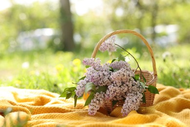 Photo of Wicker basket with lilac flowers and blanket on green grass outdoors. Space for text