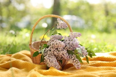 Photo of Wicker basket with lilac flowers and blanket on green grass outdoors