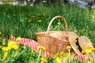 Photo of Wicker basket, dandelion flowers, straw hat and blanket on green grass outdoors