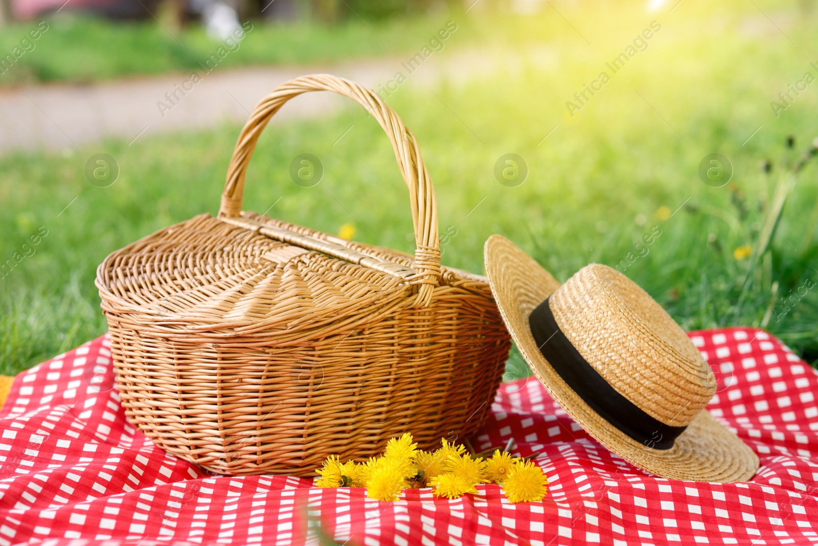 Wicker basket, dandelion flowers, straw hat and blanket on green grass outdoors Photo of Wicker basket, dandelion flowers, straw hat and blanket on green grass outdoors