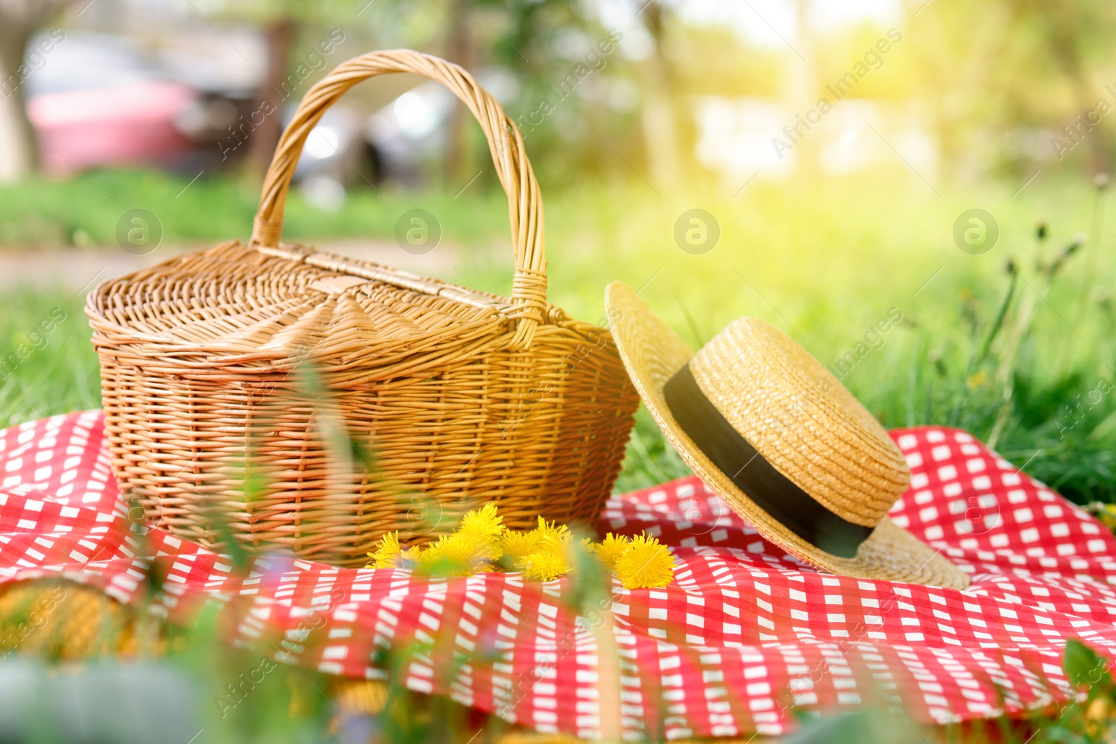 Wicker basket, dandelion flowers, straw hat and blanket on green grass outdoors Photo of Wicker basket, dandelion flowers, straw hat and blanket on green grass outdoors