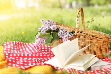 Photo of Books, blanket and wicker basket with lilac flowers on green grass outdoors