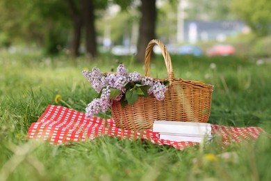 Photo of Books, blanket and wicker basket with lilac flowers on green grass outdoors
