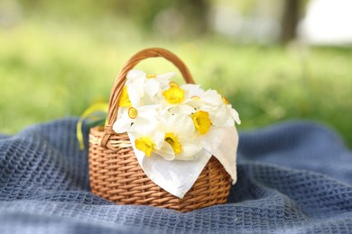 Photo of Wicker basket with daffodil flowers on blanket outdoors, closeup