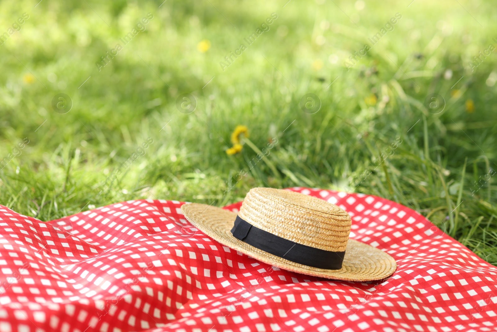 Straw hat and blanket on green grass outdoors Photo of Straw hat and blanket on green grass outdoors