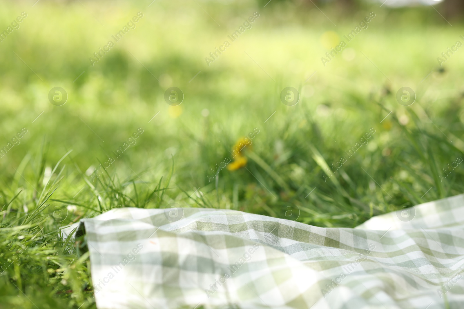 Checkered blanket for picnic on green grass outdoors, closeup Photo of Checkered blanket for picnic on green grass outdoors, closeup