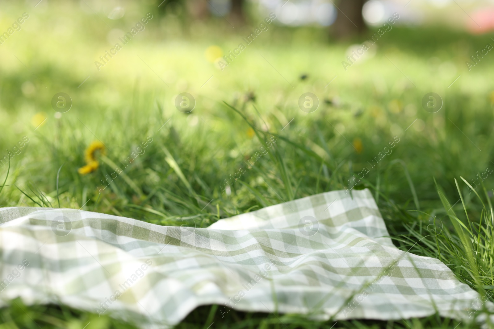 Checkered blanket for picnic on green grass outdoors, closeup Photo of Checkered blanket for picnic on green grass outdoors, closeup