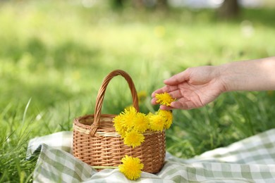 Photo of Woman with wicker basket and dandelion flowers on blanket on green grass outdoors, closeup