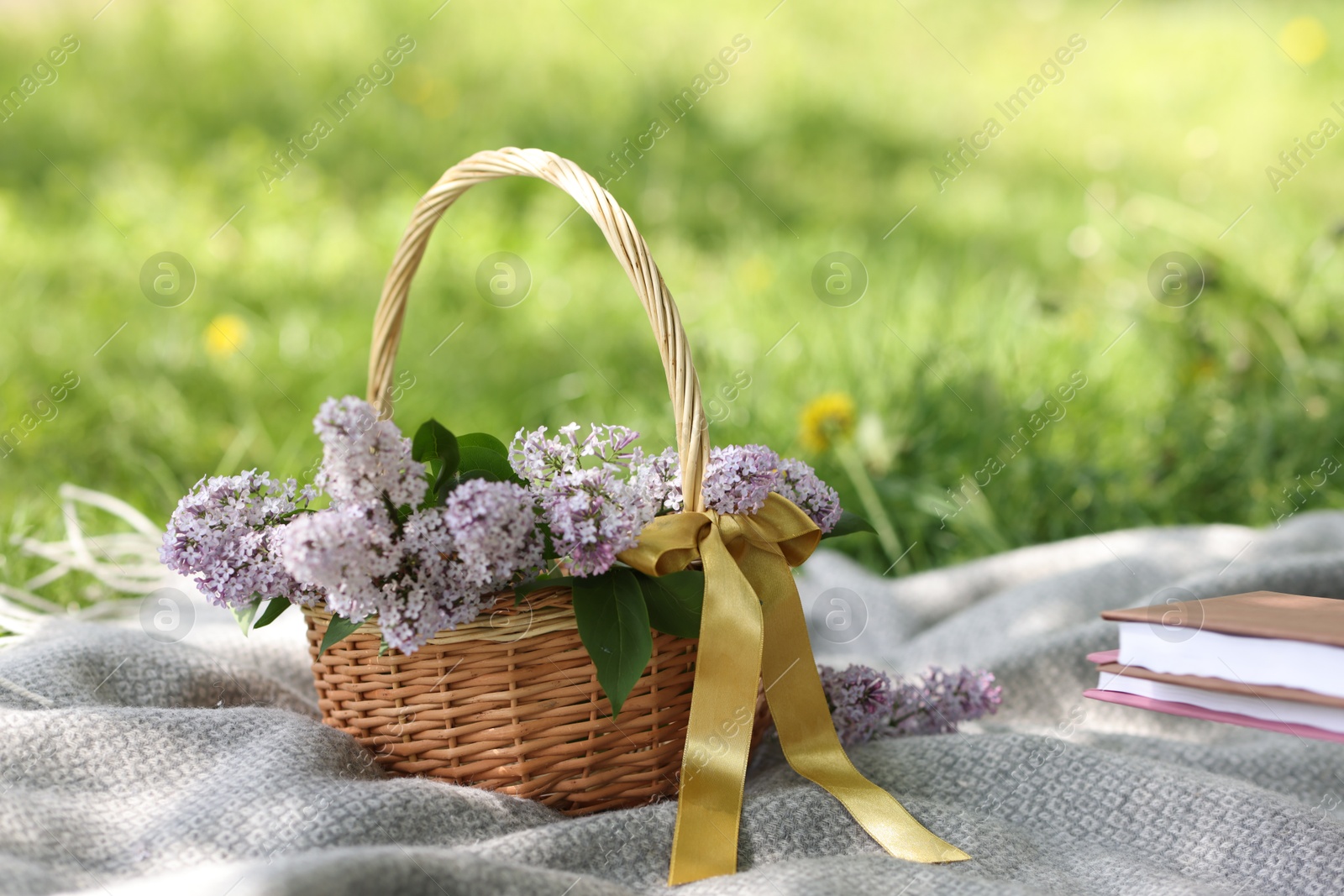 Stacked books and wicker basket with lilac flowers on green grass outdoors, closeup Photo of Stacked books and wicker basket with lilac flowers on green grass outdoors, closeup